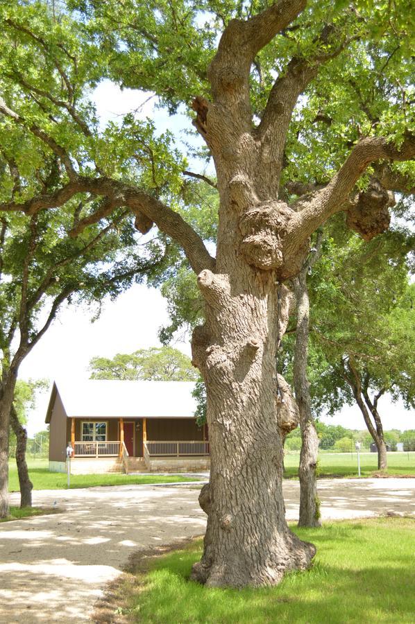 Vineyard Trail Cottages- Adults Only Fredericksburg Zimmer foto